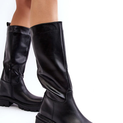 Women's Heel boots Step in style