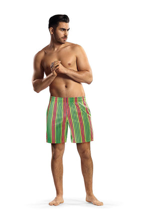 Men's Swimming trunks Lorin