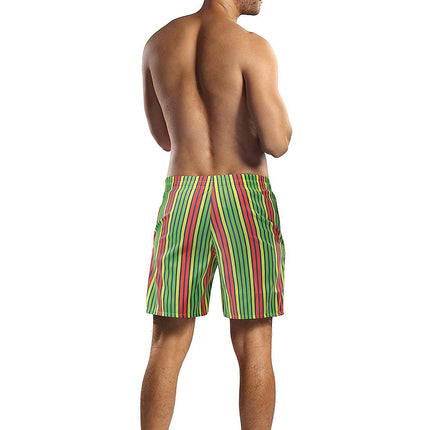 Men's Swimming trunks Lorin